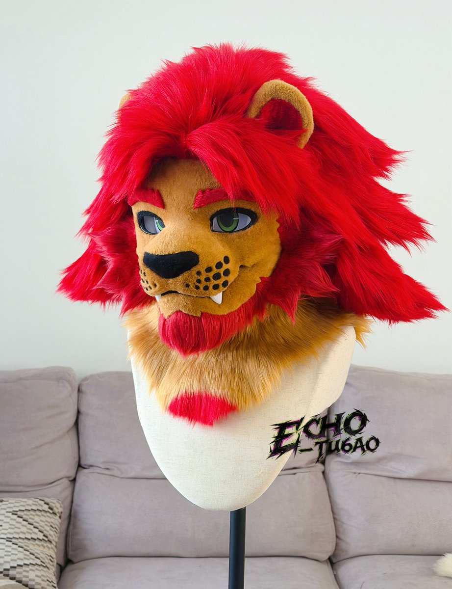 echo_Tu6ao tweet media