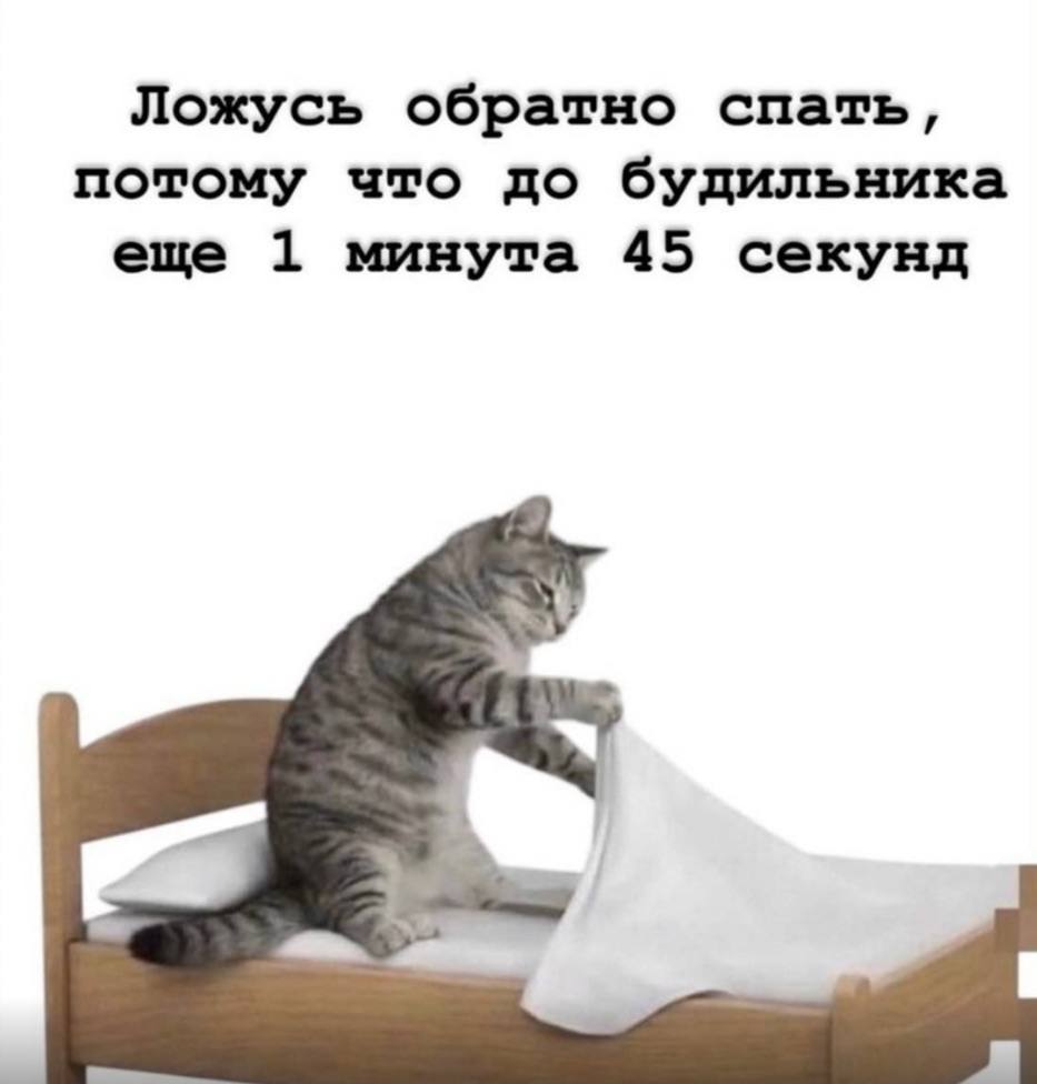 catsilcats's tweet photo. https://t.co/cDeUIYXO8k