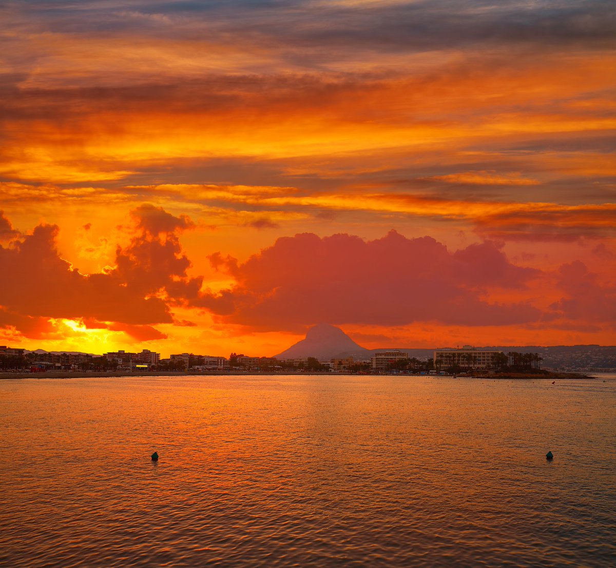 marilyn hernandez tweet media