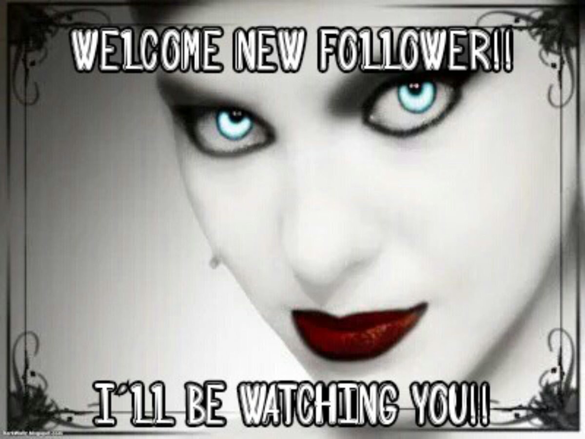 Welcome new stalkers! If you would like me to stalk you back, let me know in the comments!