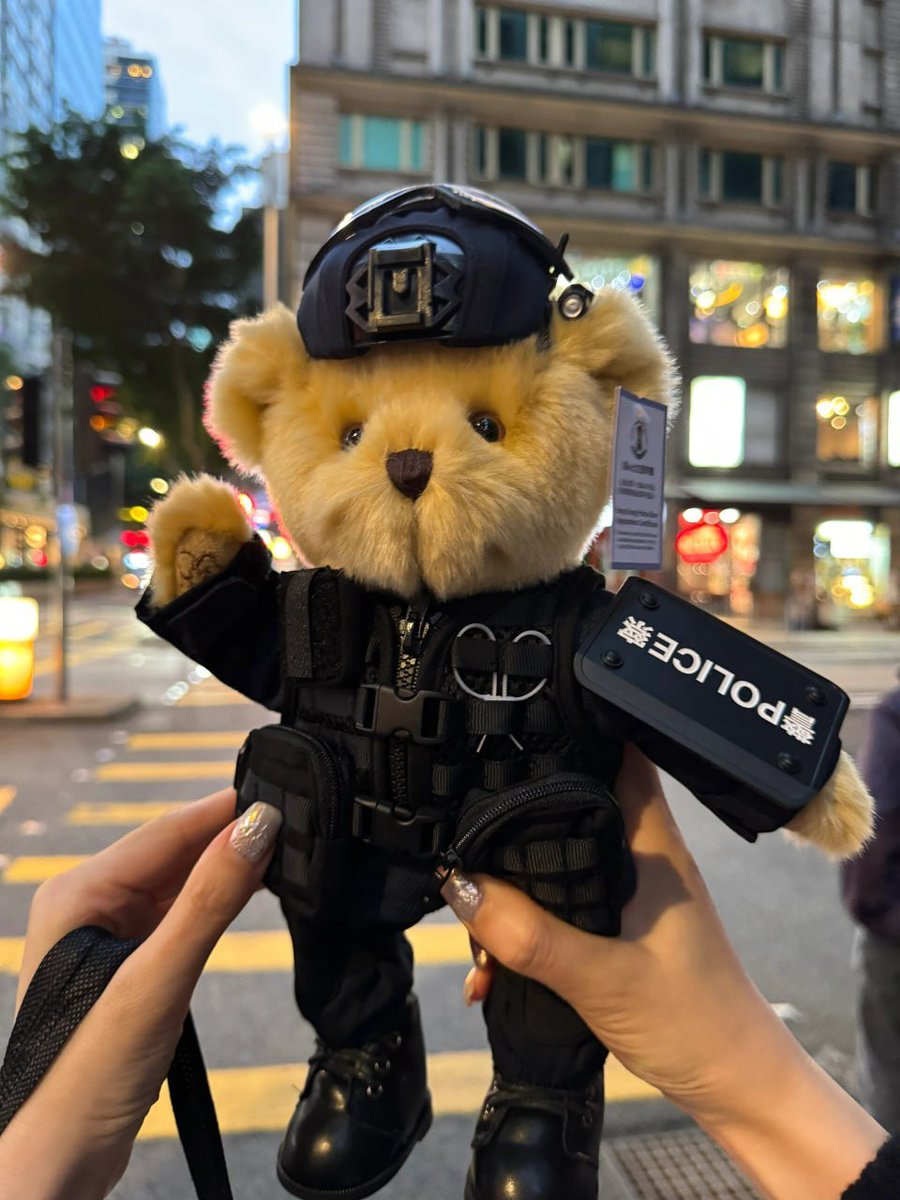 KaitlynTen71179's tweet photo. Today's sense of security comes from my adorable police response, gently protecting you. #HongKongStreets #PoliceBear #AdorablePoliceResponse https://t.co/f9jVO7ZnL4