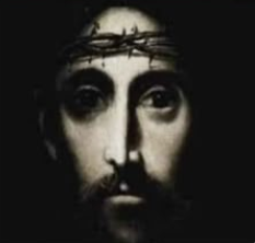 GingerJackal🏳️⚧️ tweet media