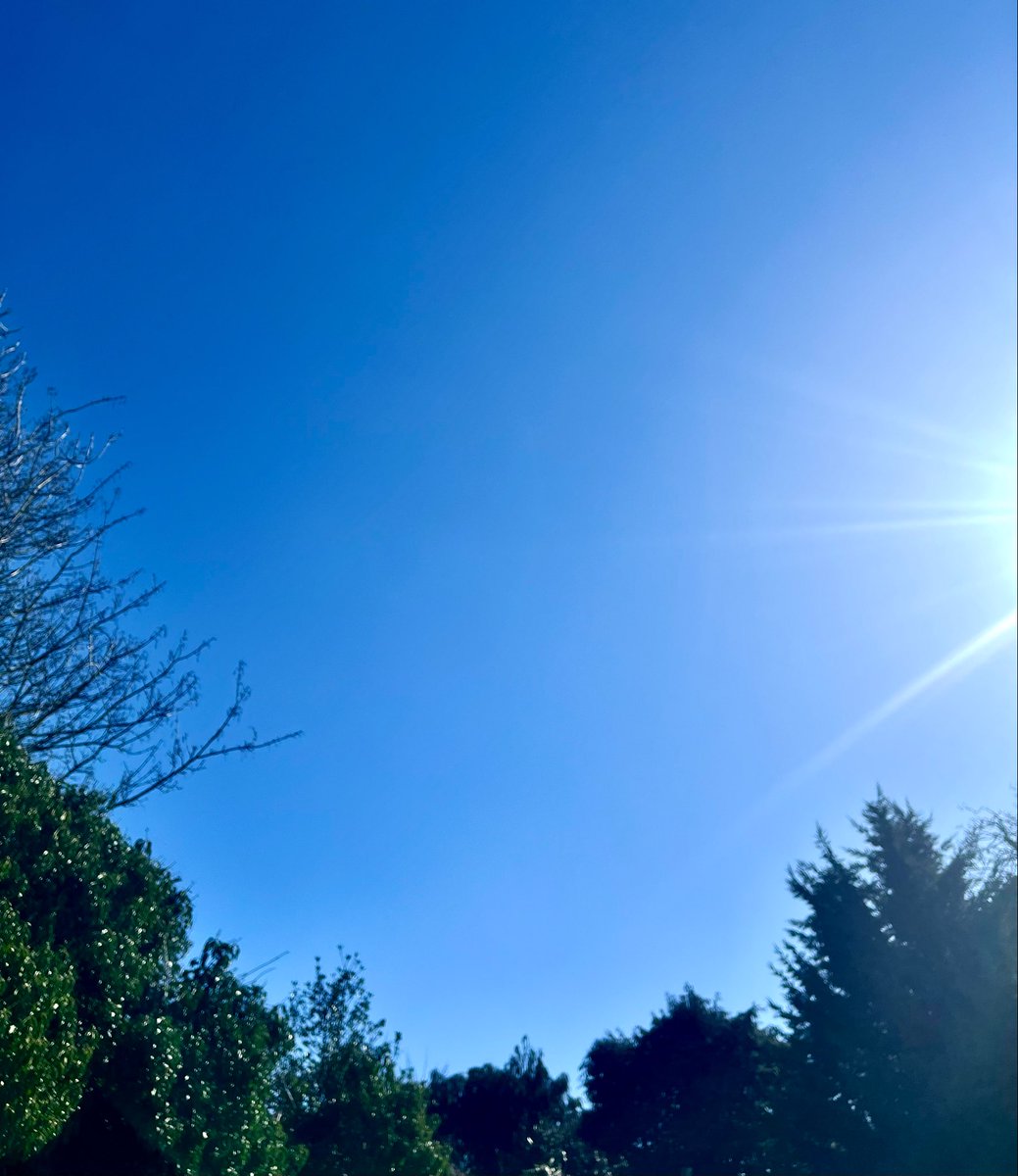 Lou’s random content! 🔆 tweet media