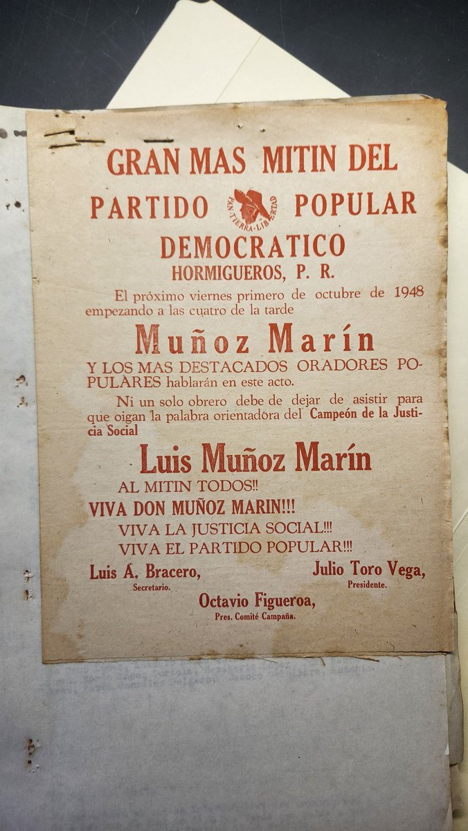 Young Skywalker tweet media