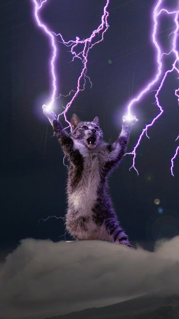 Agent 1201 tweet media