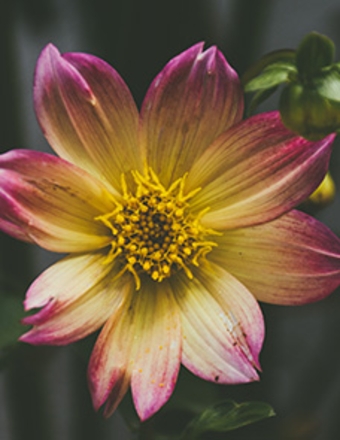 Rest Haven tweet media