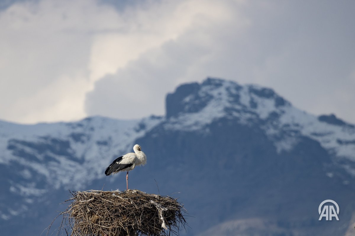 Sidar Eren tweet media