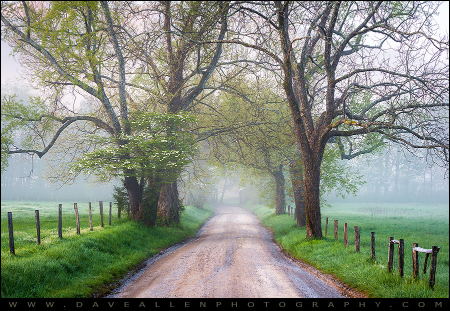 Dave Allen Photography tweet media