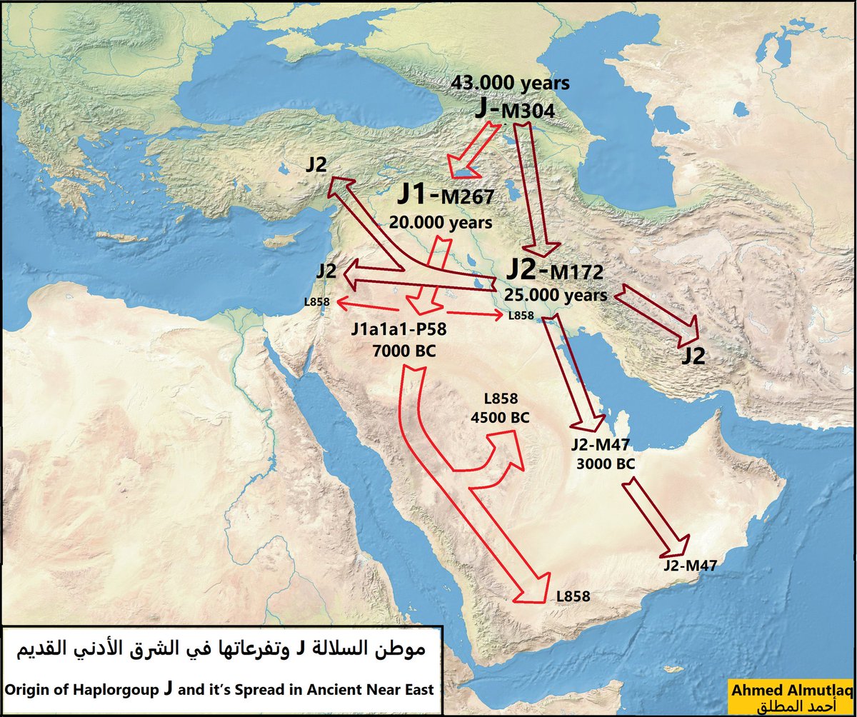 نوماد 🐪 tweet media