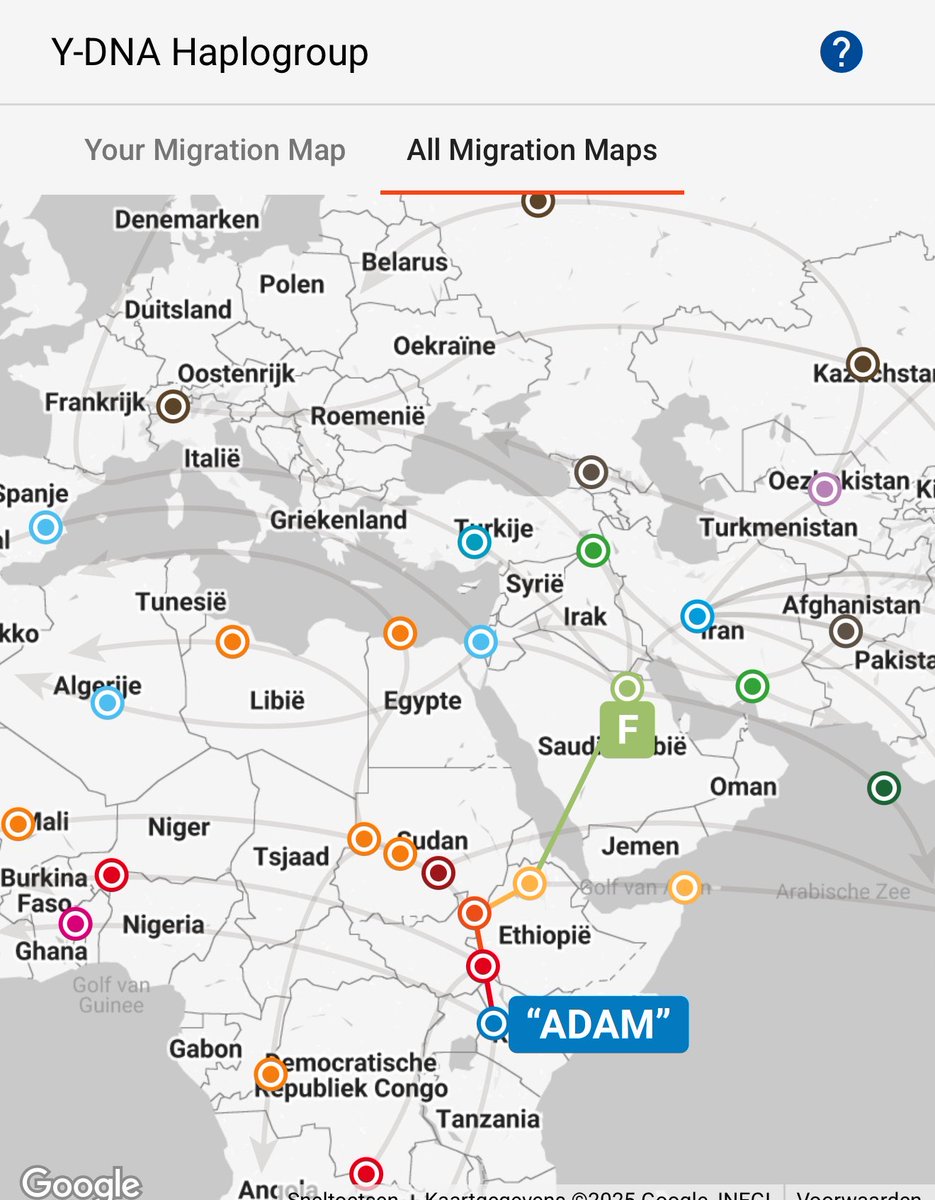نوماد 🐪 tweet media