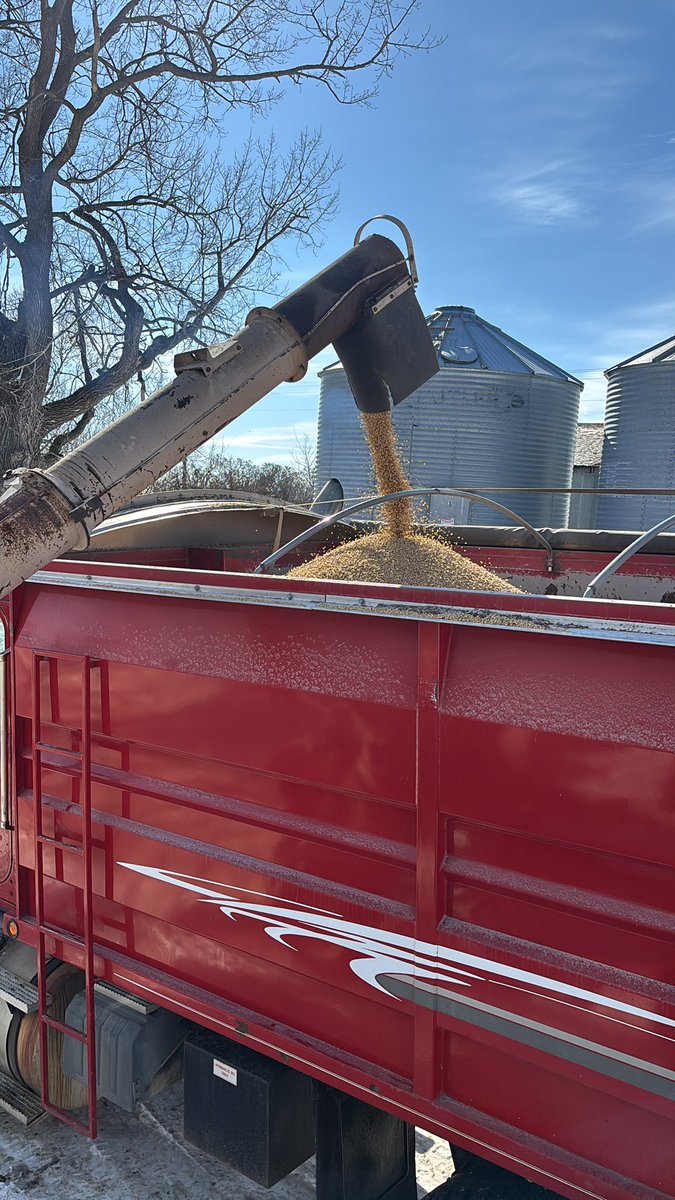 Darrin Schmidt tweet media