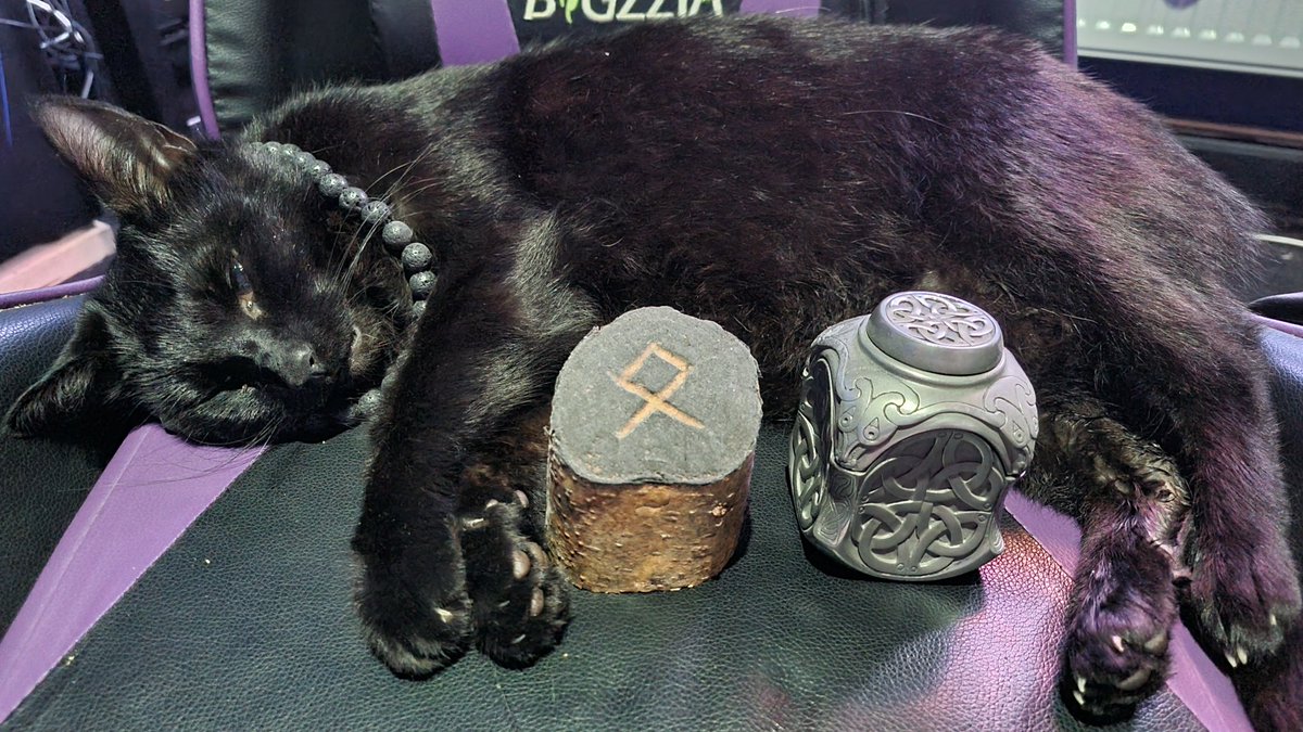 VatraLion @FURUM tweet media