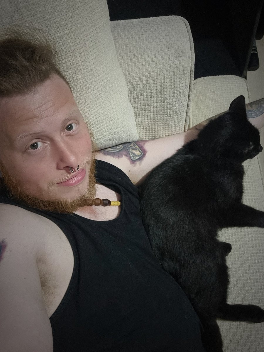 VatraLion @FURUM tweet media