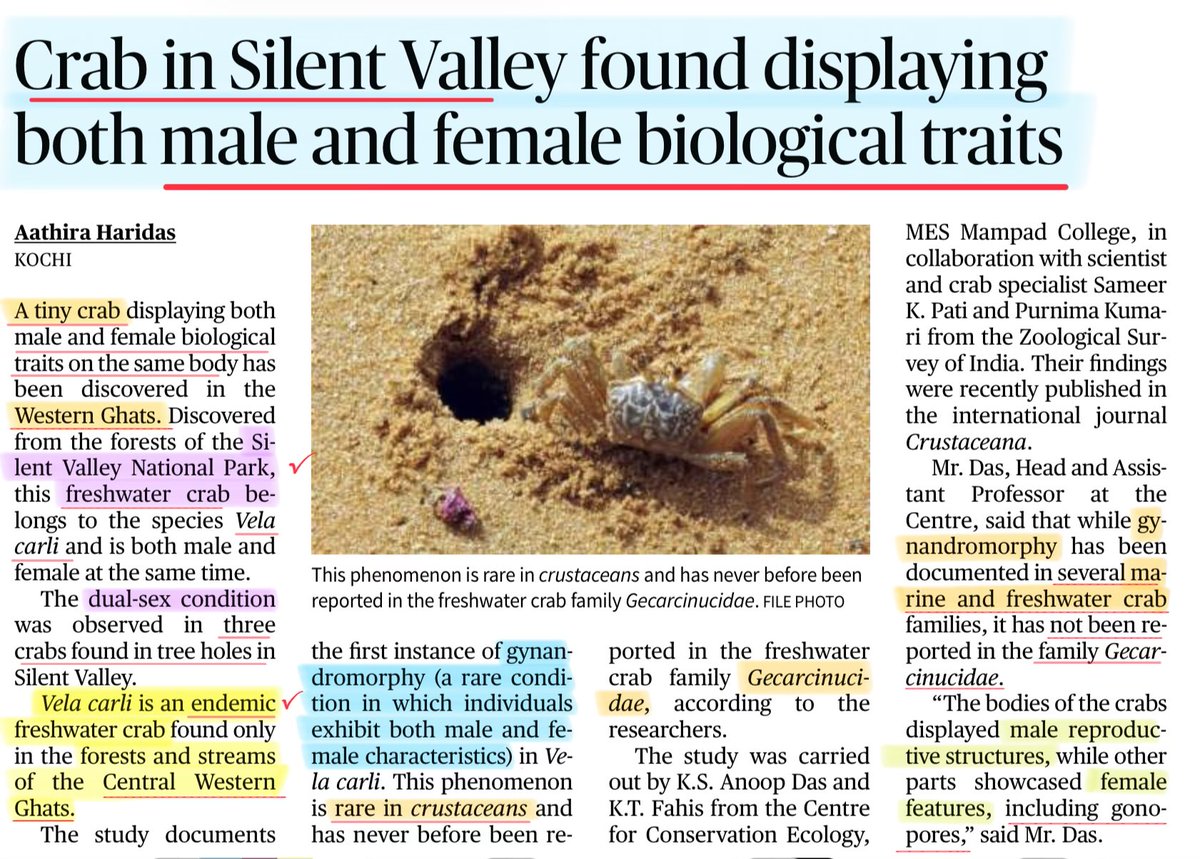 Study Rules tweet media