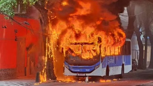 Dani Monteiro tweet media