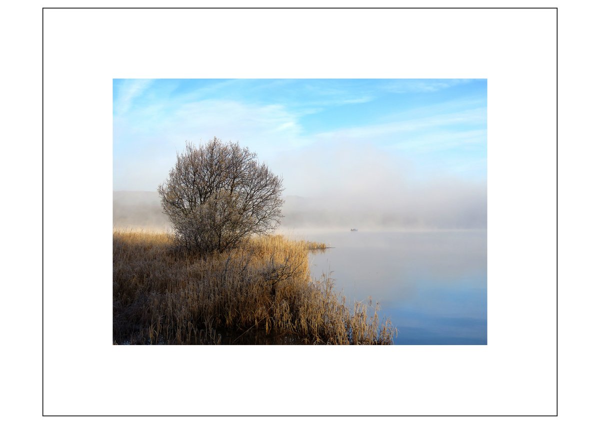 Brian Craig tweet media