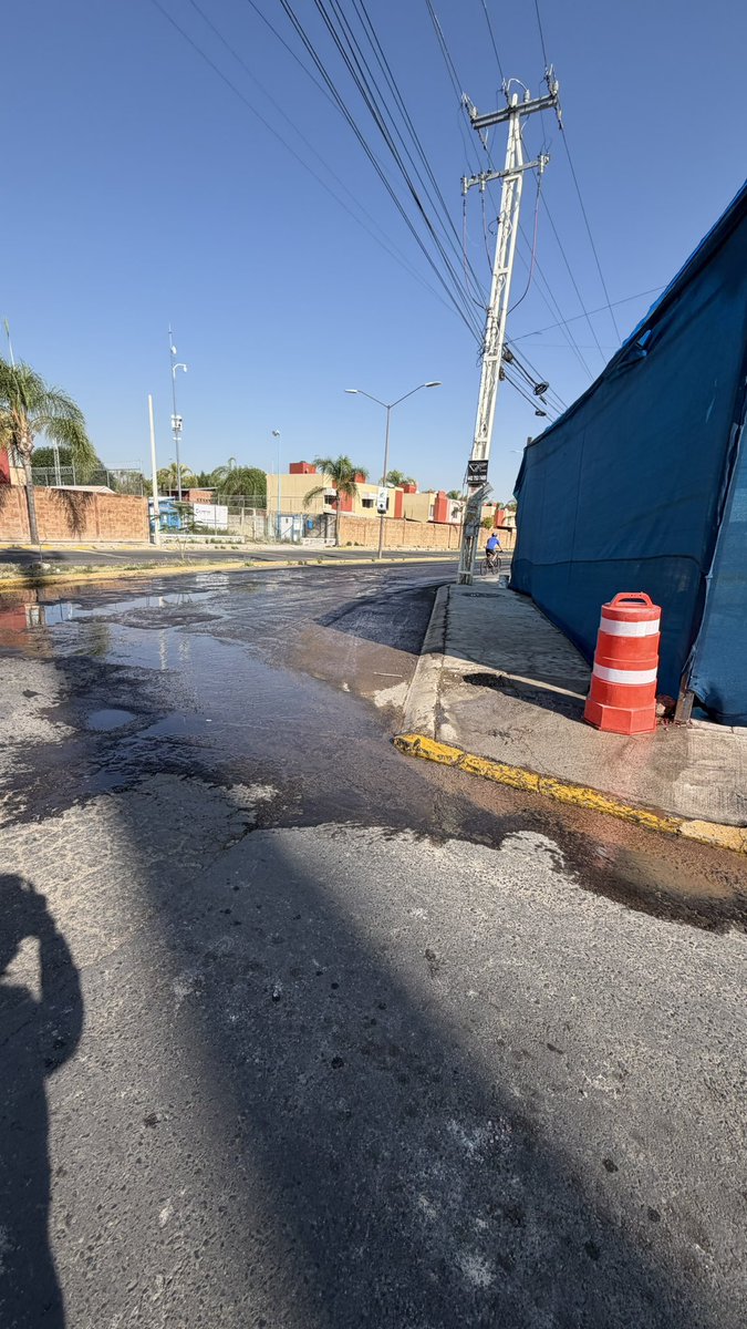 Jose Rodrigo tweet media