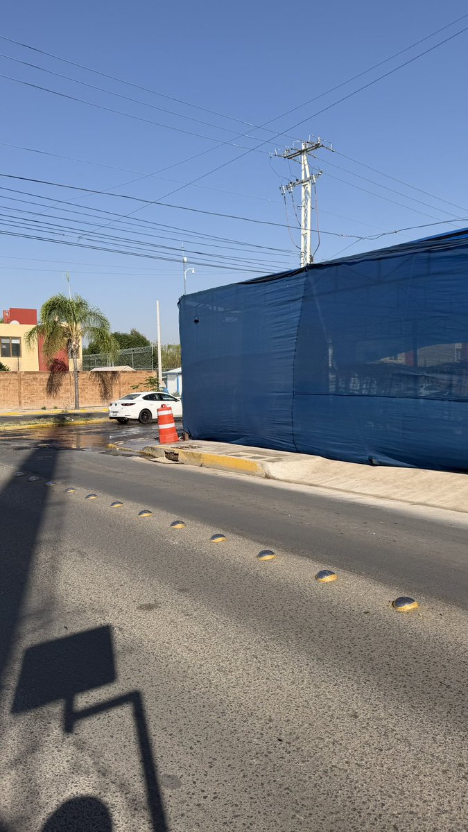 Jose Rodrigo tweet media