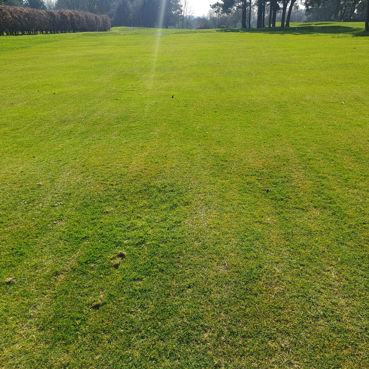 West Bradford Golf Club tweet media