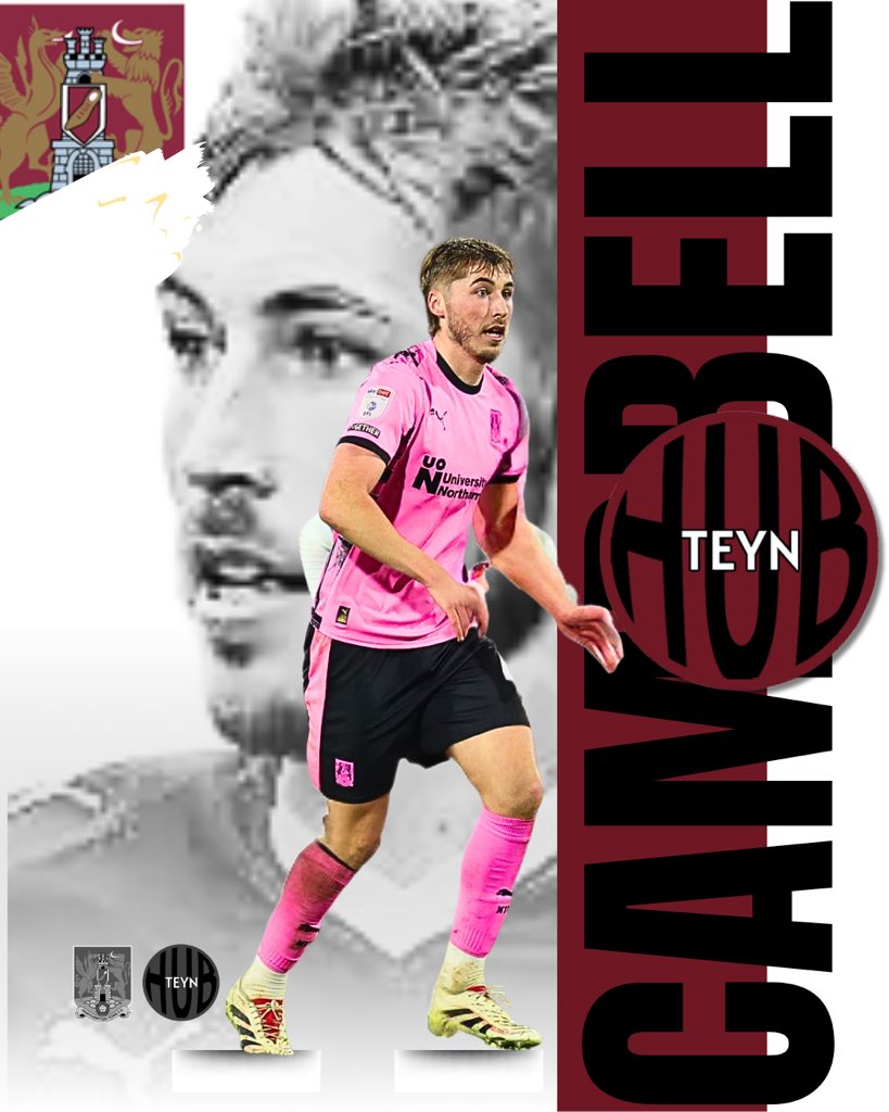 Teyn.Hub tweet media