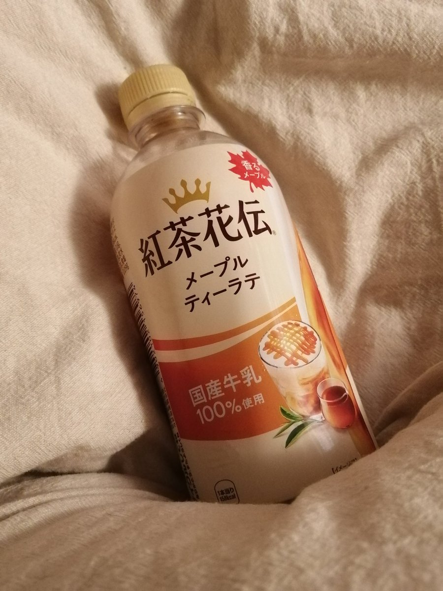 wanwan-jp tweet media