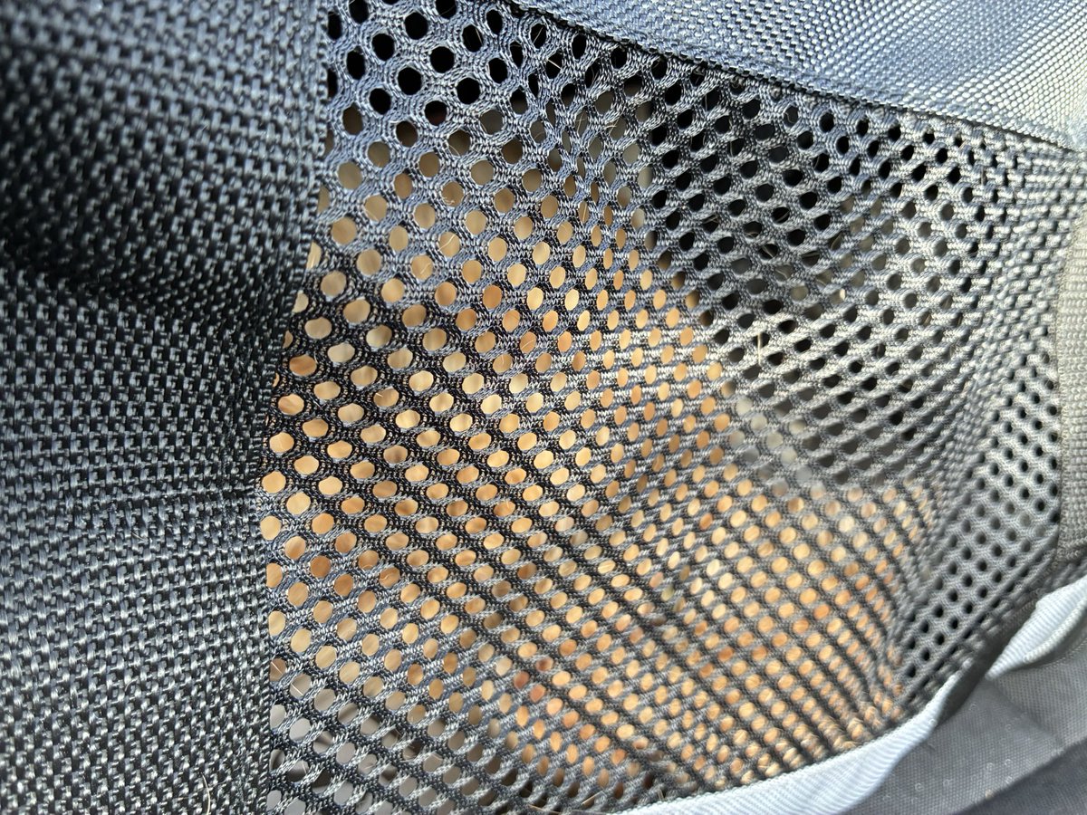 Aunt Scwagers 🌈 Bridie 🌈Blackie🌈Kitten and Fred tweet media