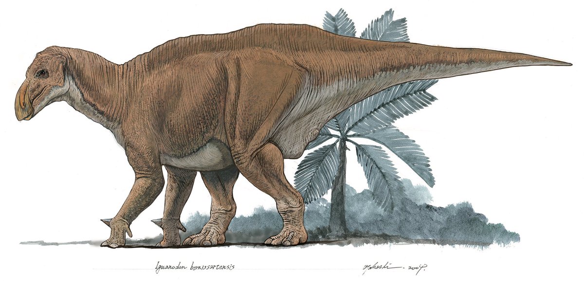 小田 隆 Oda Takashi tweet media