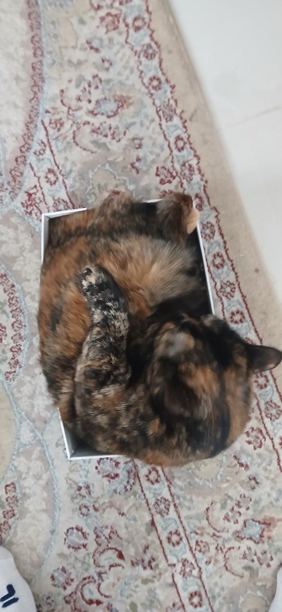 Uncle Nev tweet media