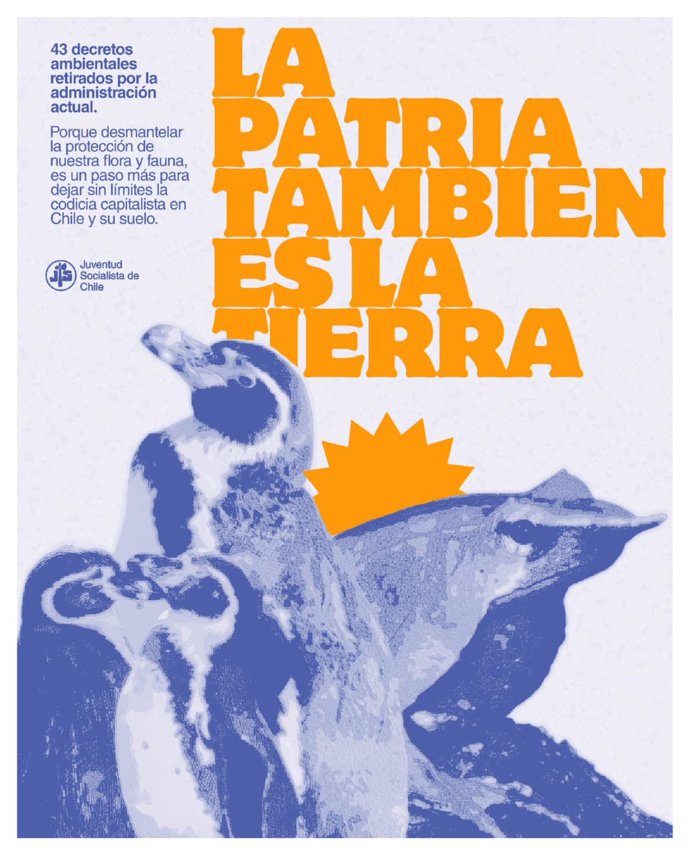 Juventud Socialista tweet media