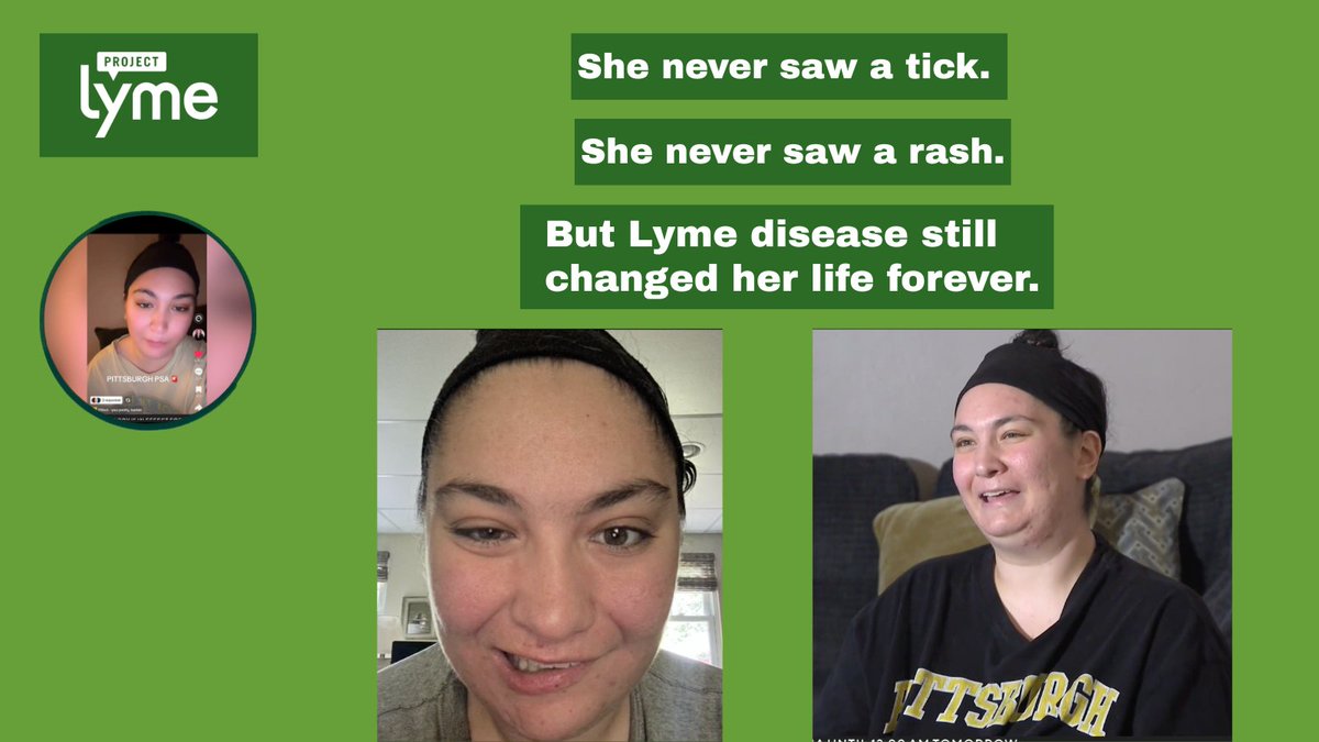 Project Lyme tweet media
