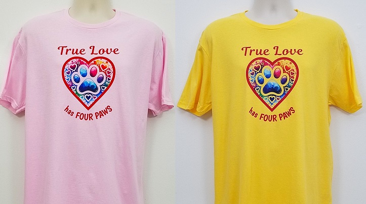 Charlie Boo 💙🐶 tweet media