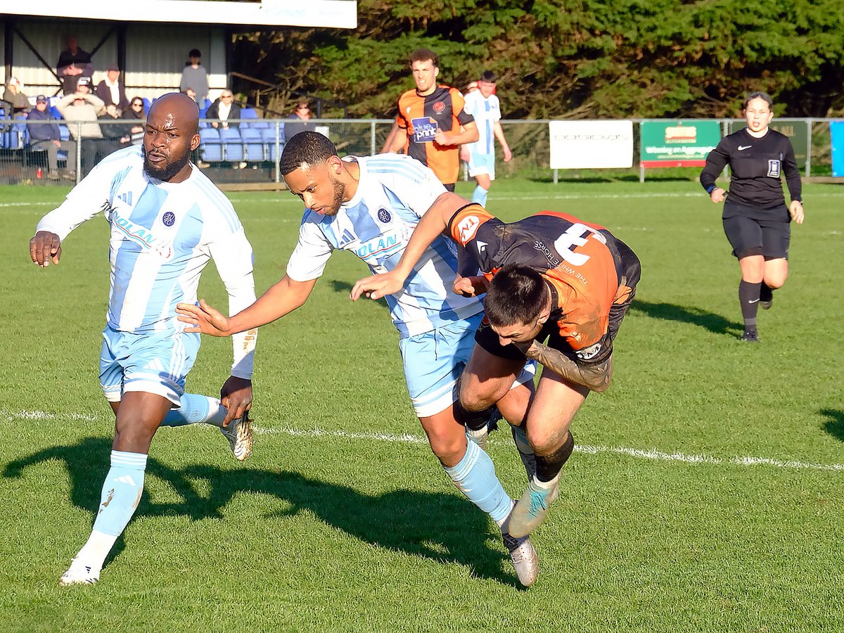 Andrew B tweet media