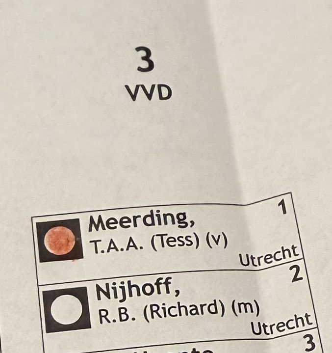 Beach Roy ☀️🏖️🌊🤙 tweet media