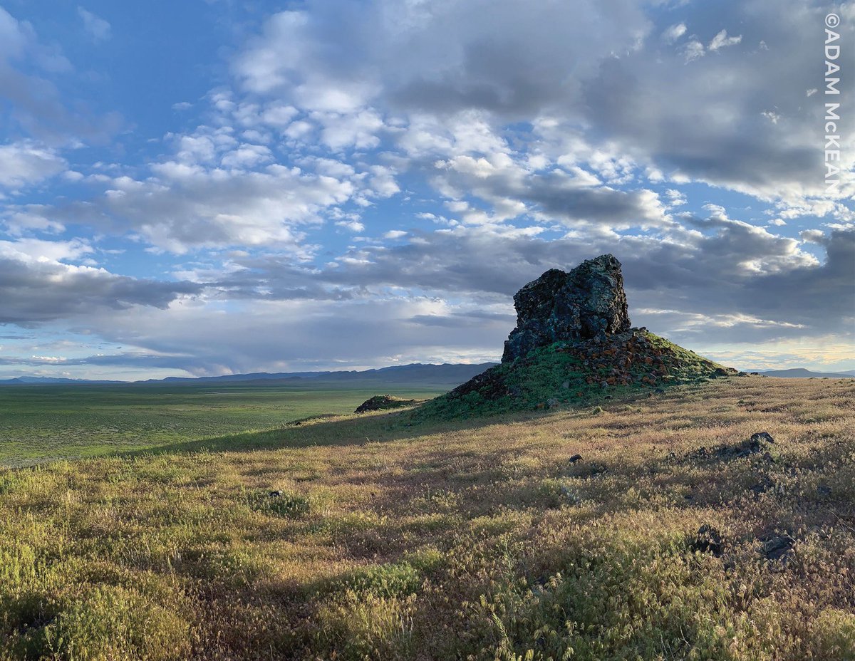 Utah Geological tweet media