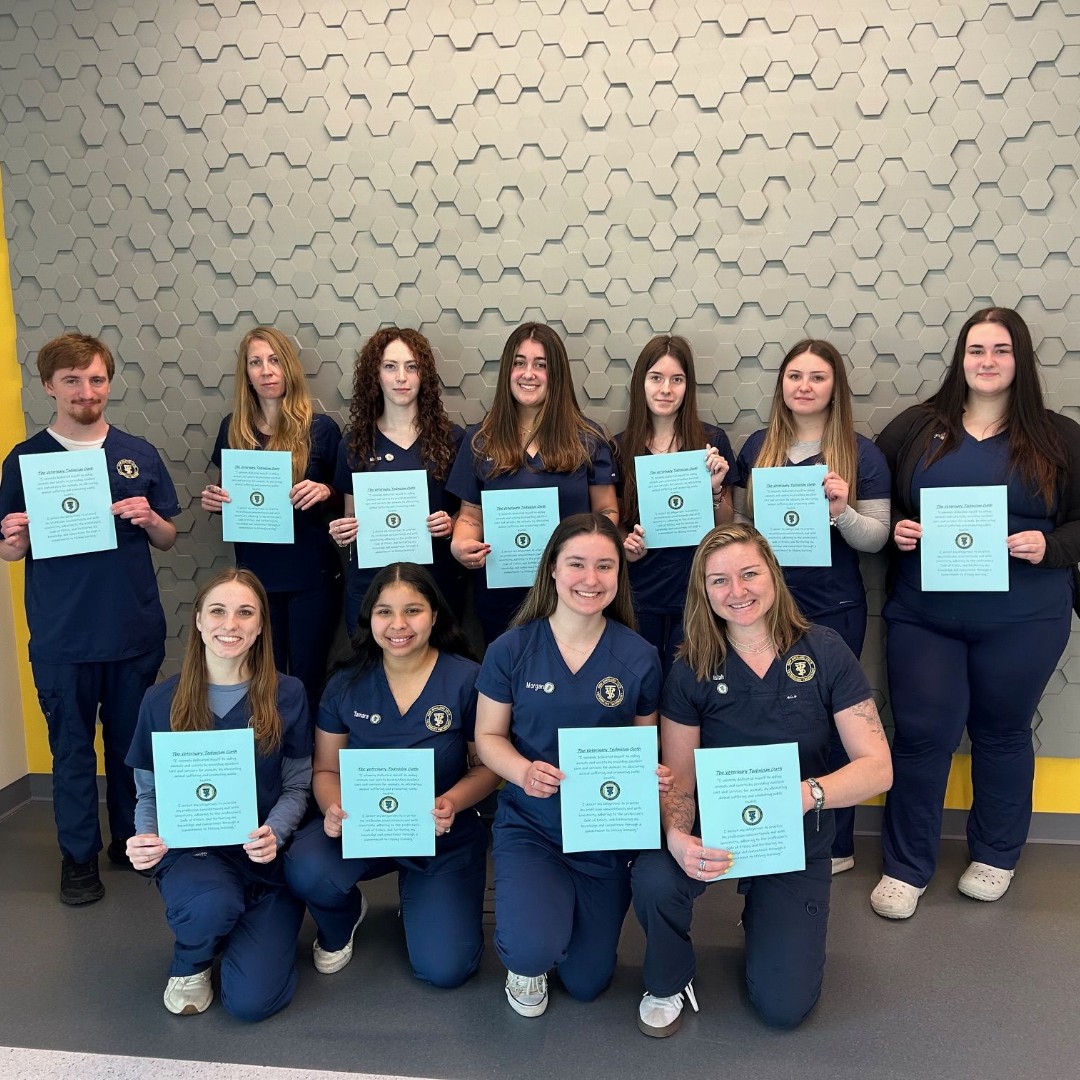 New England Institute of Technology tweet media