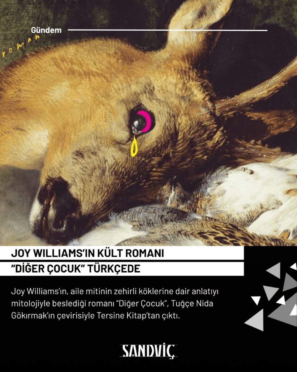 Diğer Çocuk; yasın, deliliğin, inancın ve hayvani dürtülerin iç içe geçtiği bir karanlık masal. Büyünün de, gerçeğin de tanımlamaya yetmediği bir “kara büyülü gerçekçilik” romanı, kimine zehir, kimine panzehir olacak bir kült klasik.