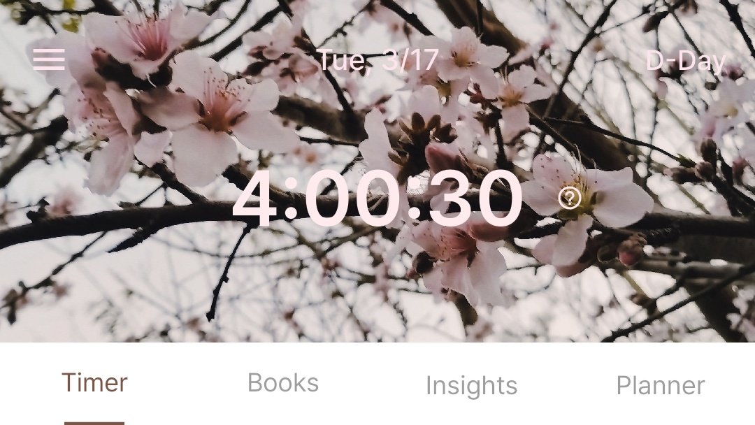 zarilvstudy's tweet image. 🖇️- 17.03.2026 | #studytwt #studytwtesp