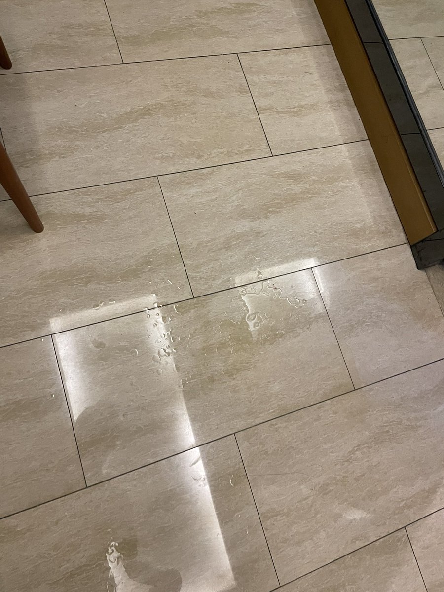 吐司面包 tweet media