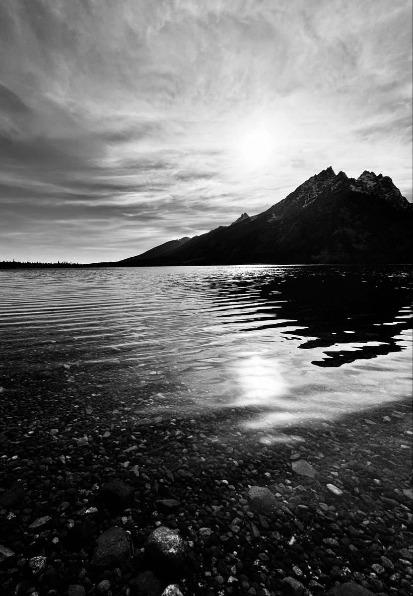 D Miller tweet media