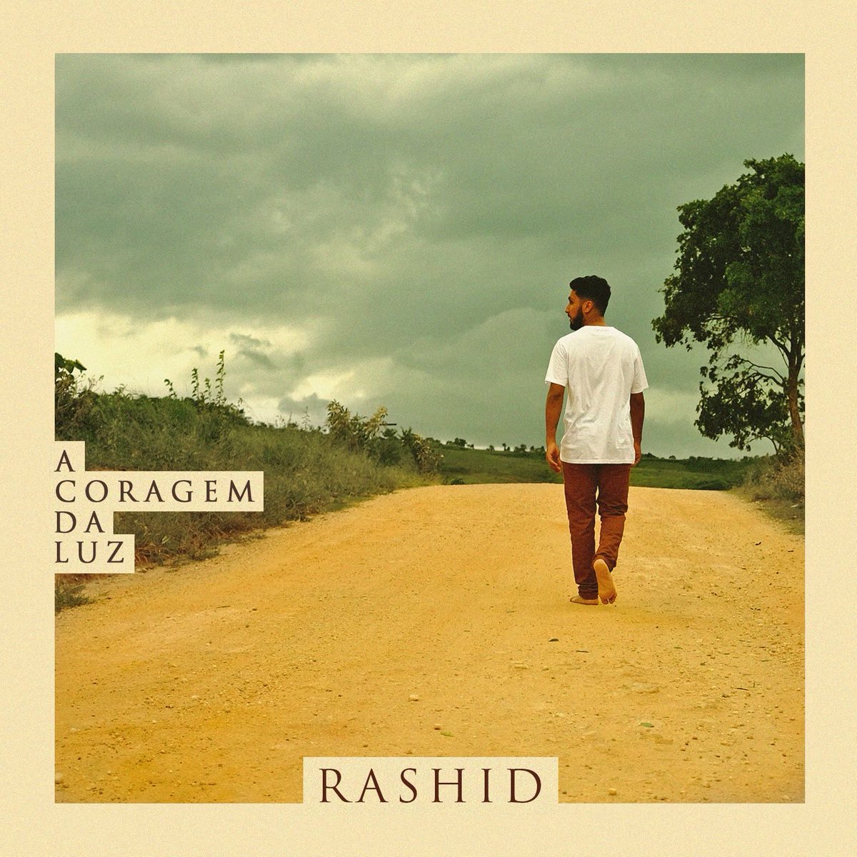 Rashid tweet media