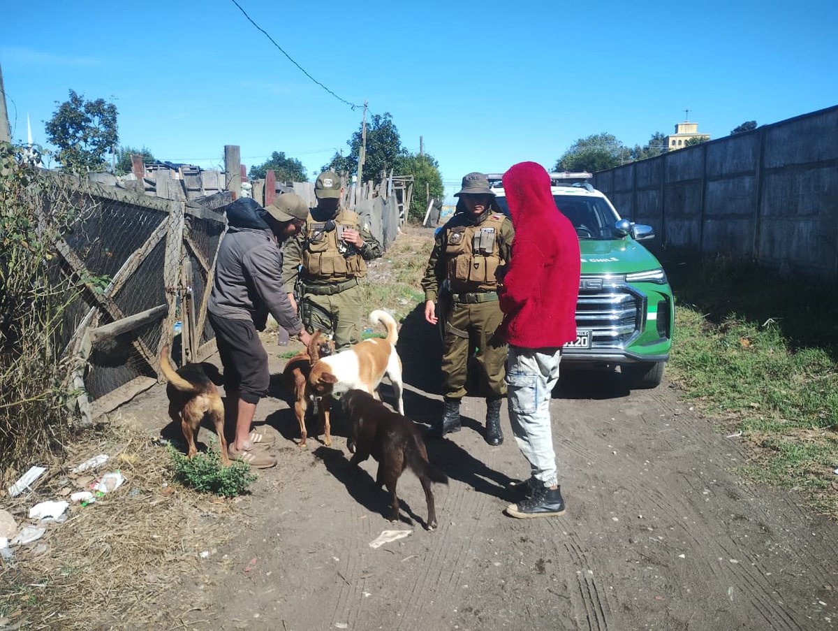 Carabineros Región del Bío Bío tweet media