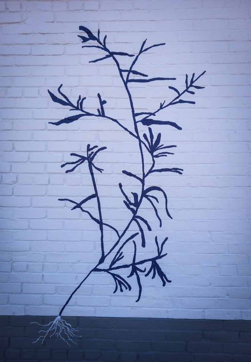 paulsportrait's tweet image. #Flower #mural in #CambMA