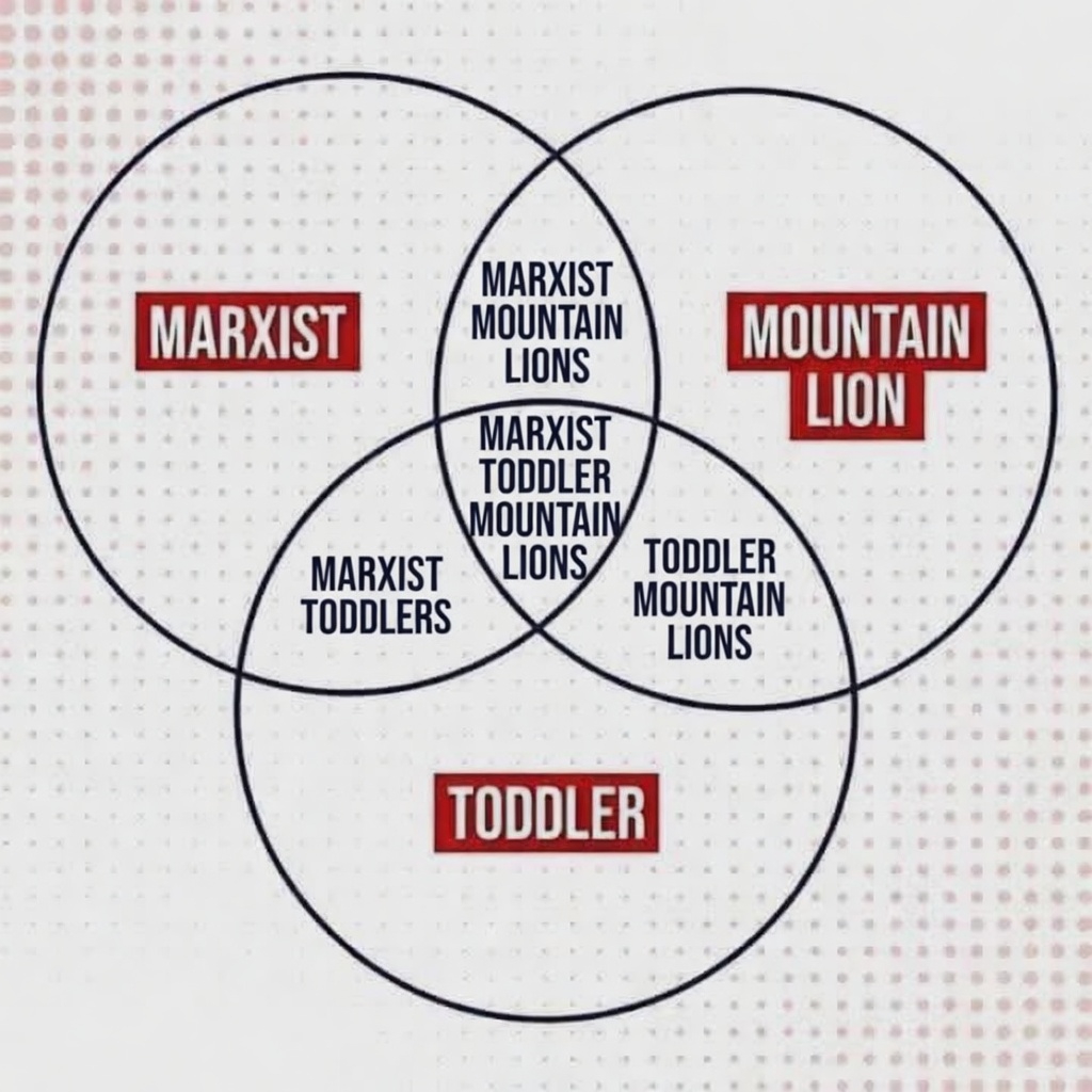 Larry Sanger tweet media