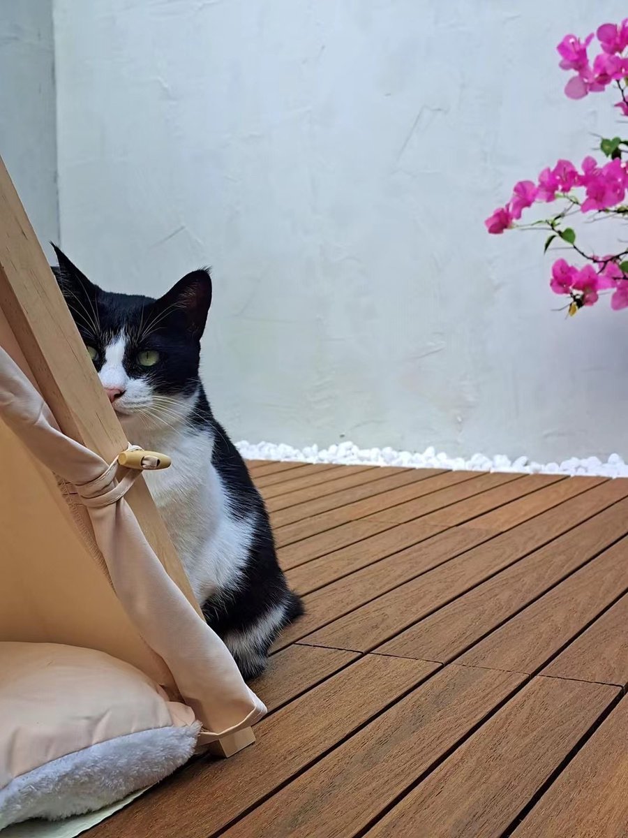 rené minotte tweet media