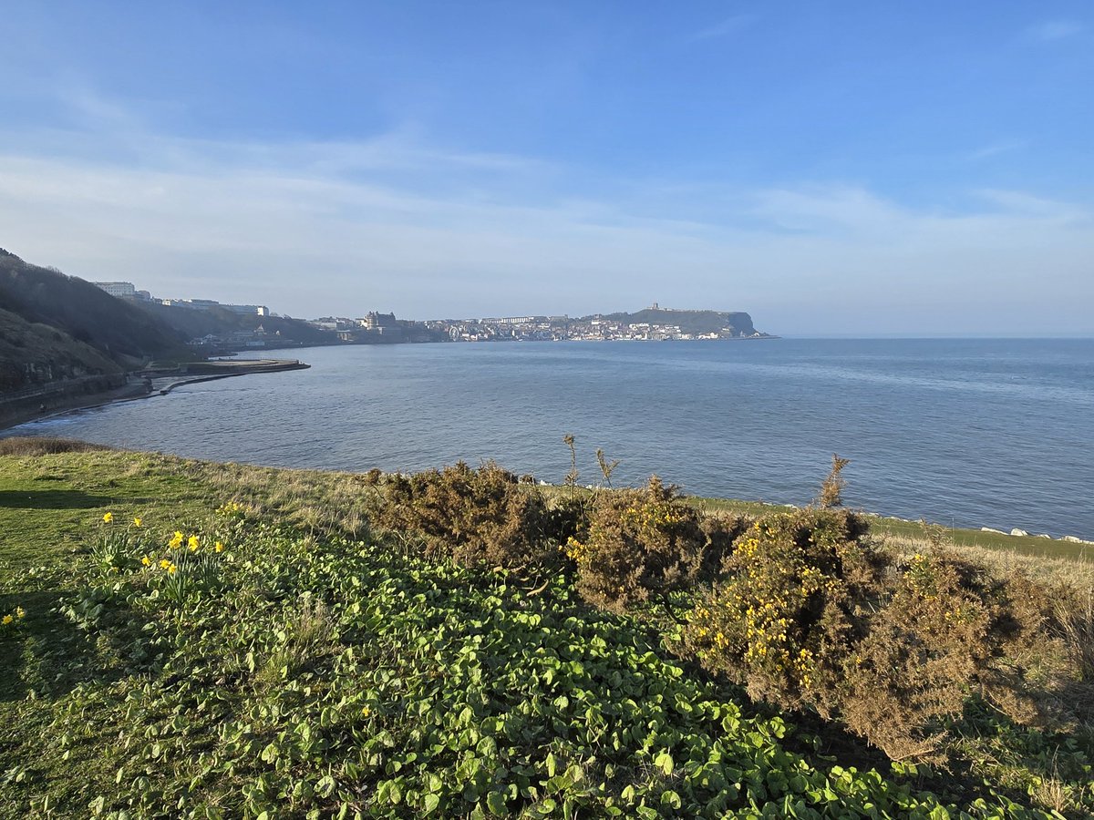 Alan Jackson tweet media