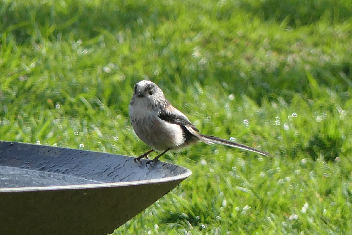 𝓡𝓮𝓿𝓭 𝓓𝓪𝓿𝓲𝓭 𝓐𝓽𝓴𝓲𝓷𝓼𝓸𝓷 tweet media