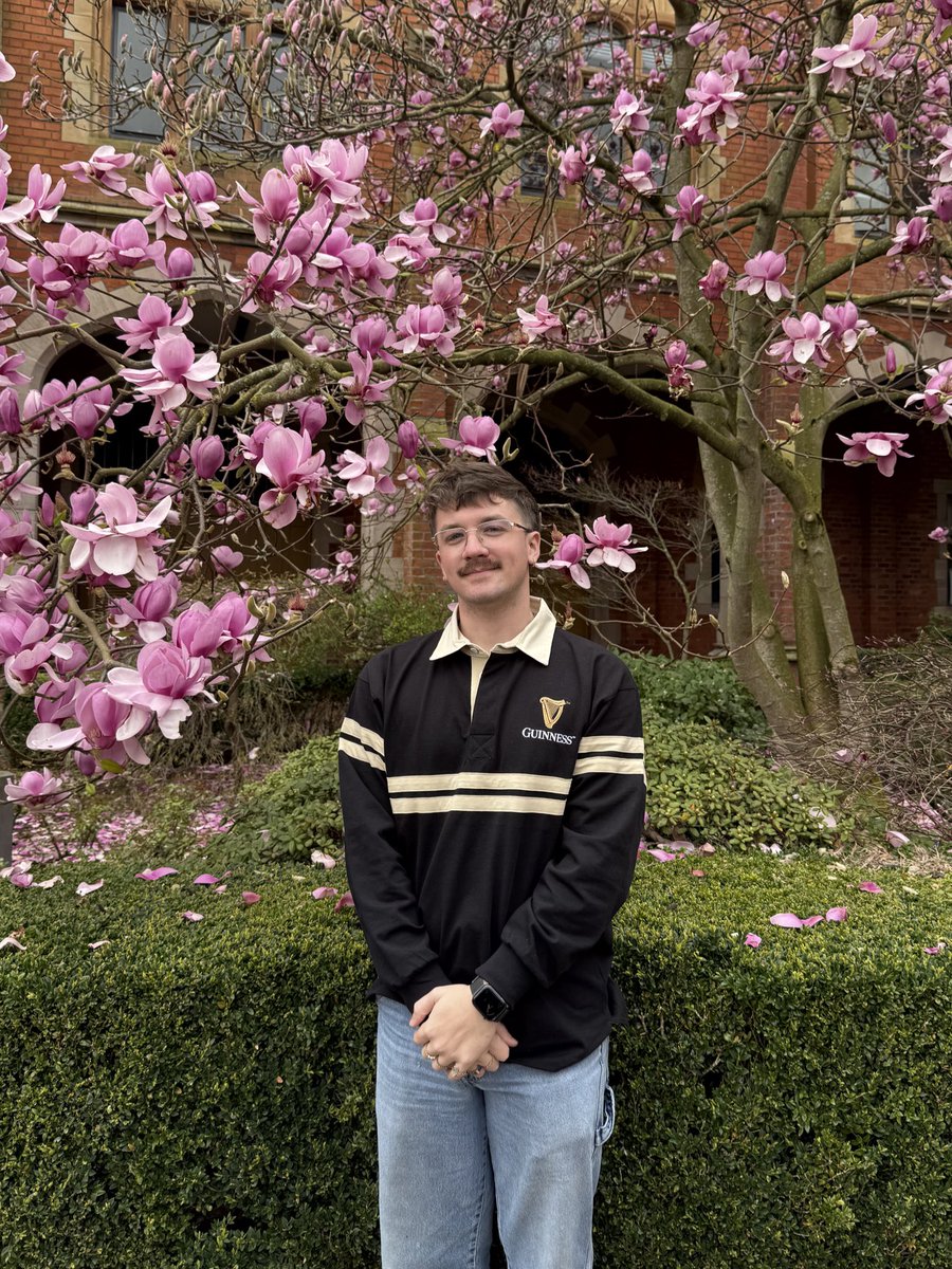 bray ★ bray tweet media