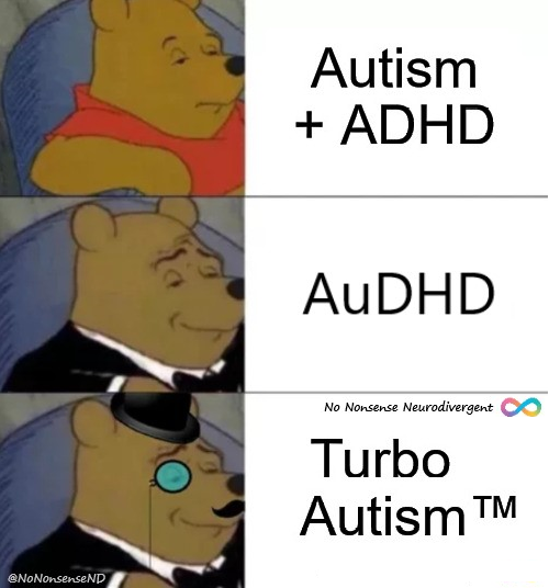 No Nonsense Neurodivergent (@nononsensend) on Twitter photo 