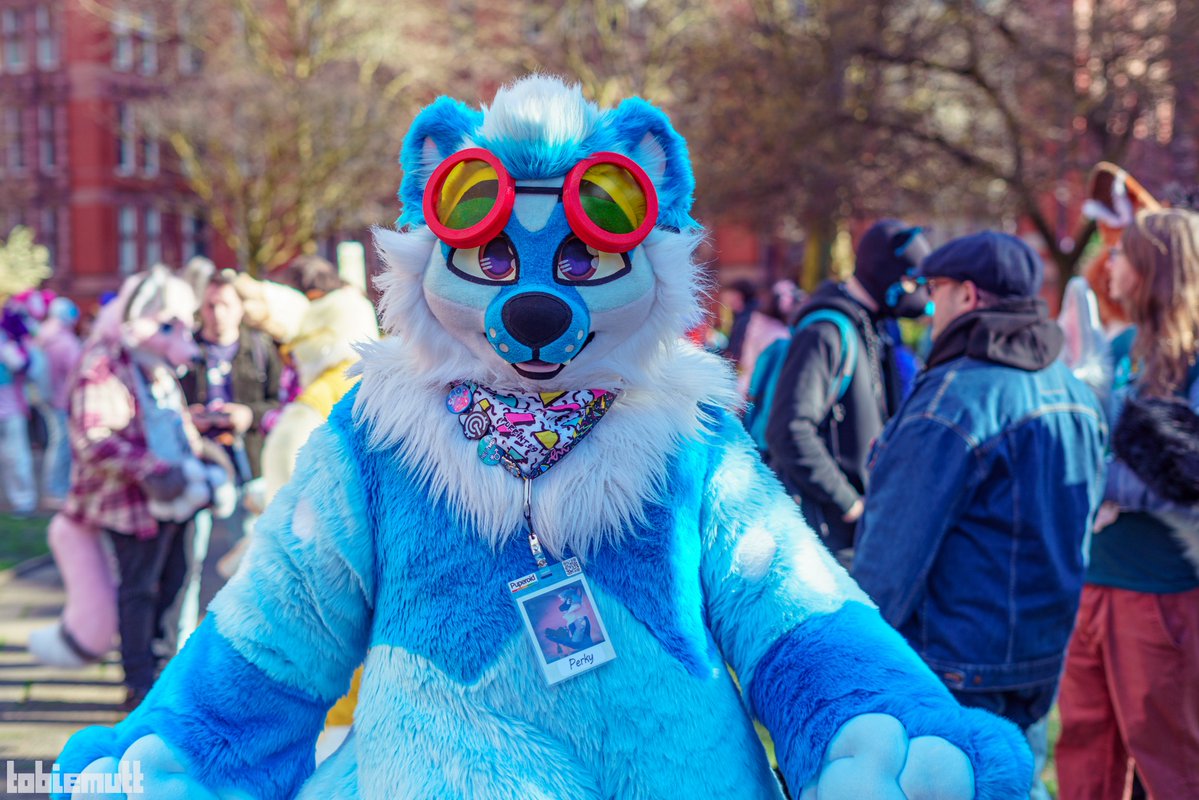 Owen Trett 🦦 tweet media