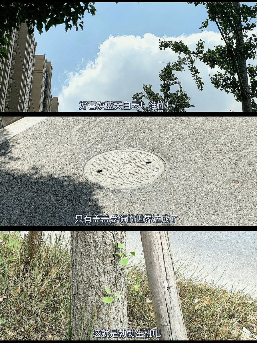 Andreas Saß tweet media